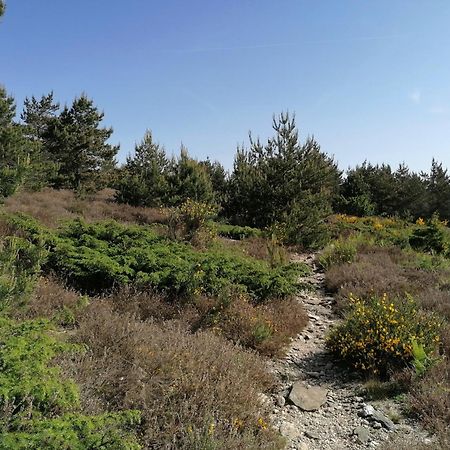 Gite Cote Nature Cabrerolles ภายนอก รูปภาพ