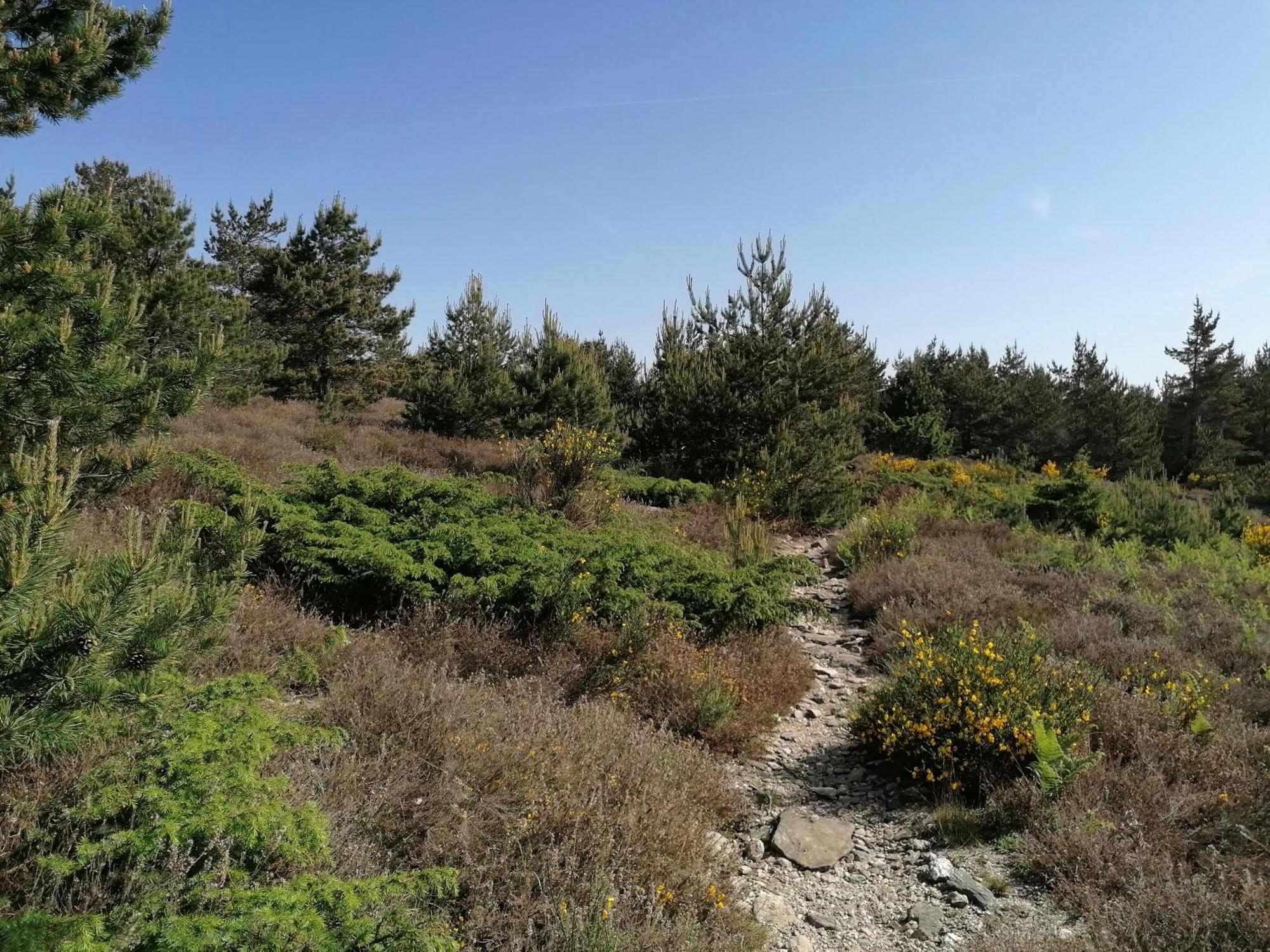 Gite Cote Nature Cabrerolles ภายนอก รูปภาพ